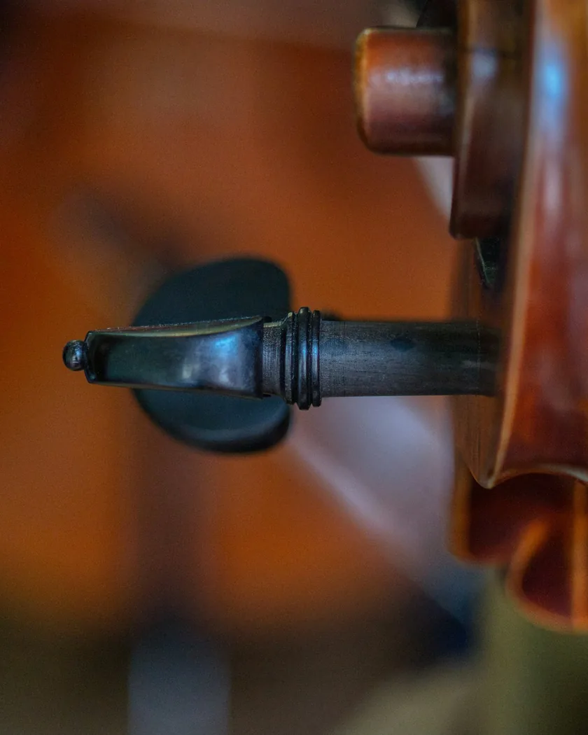 Detalle del fondo de arce de un violín con el botón y la unión del mástil